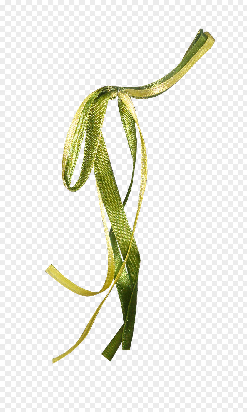 S-shaped Ribbon PNG