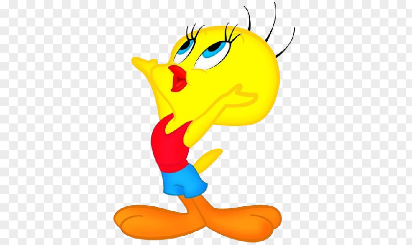 Tweety Bird Sylvester Clip Art PNG