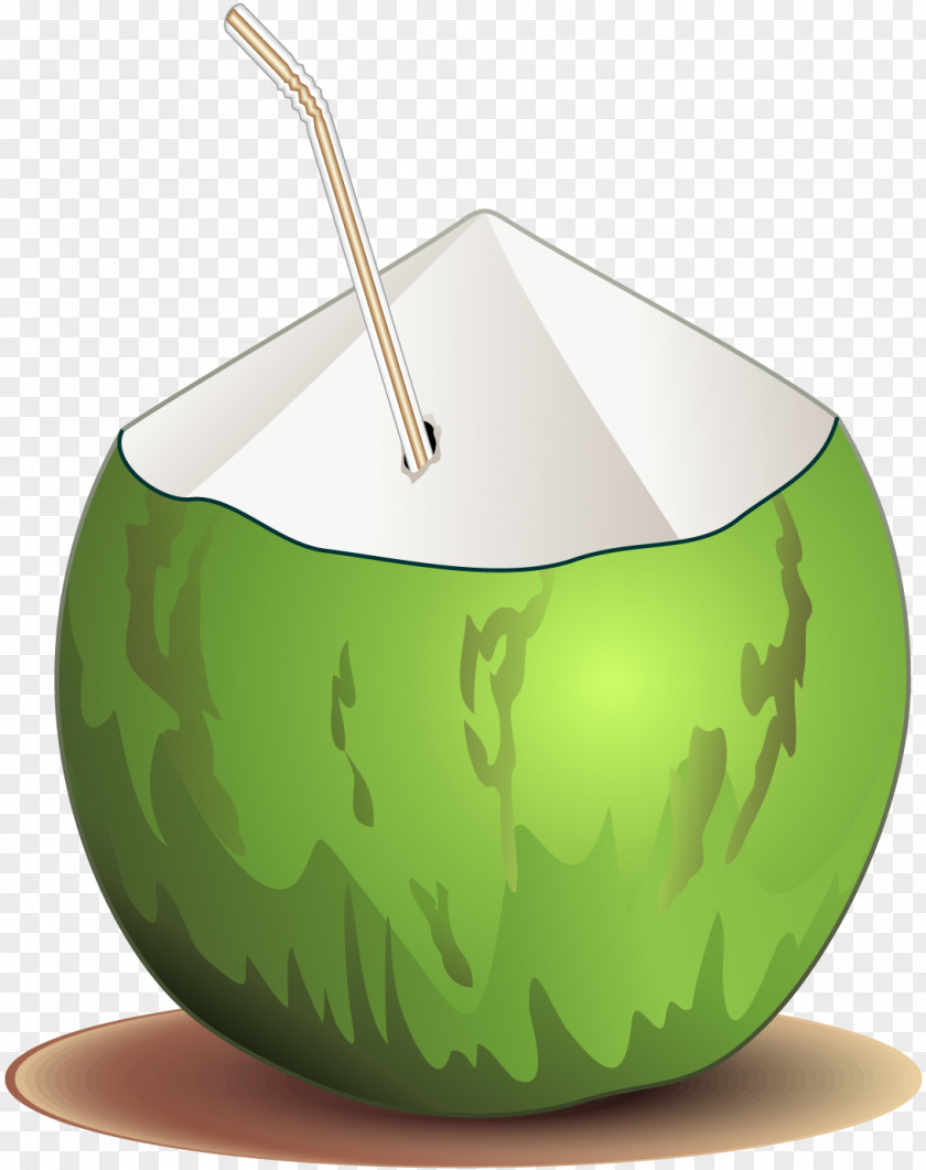 Vector Painted Coconut Milk PNG