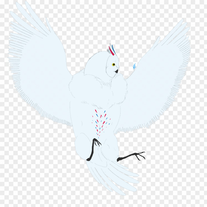 Angel Fictional Character Feather PNG