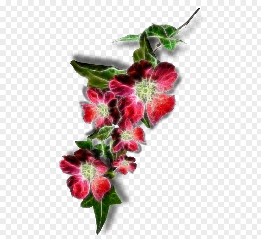 Arabic Words Floral Design Cut Flowers GIF Desktop Wallpaper PNG