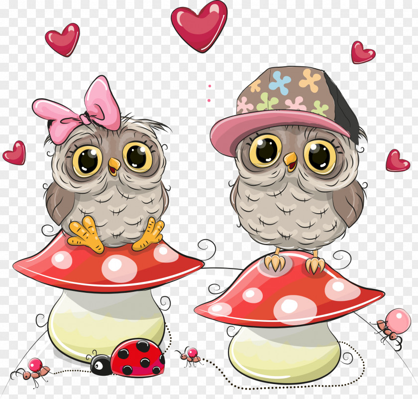Owl Vector Mushrooms On Little Drawing Illustration PNG