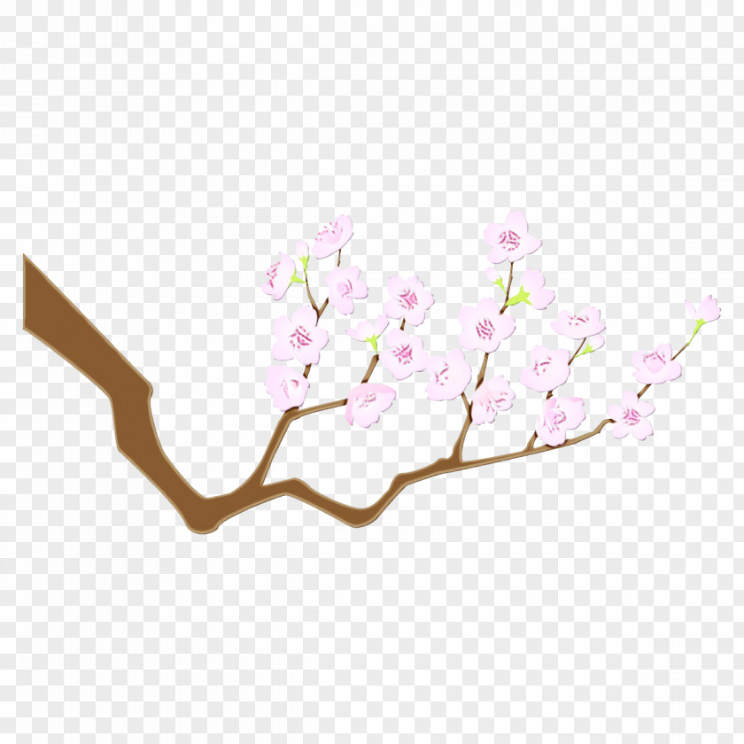 Petal Magnolia Cherry Blossom PNG