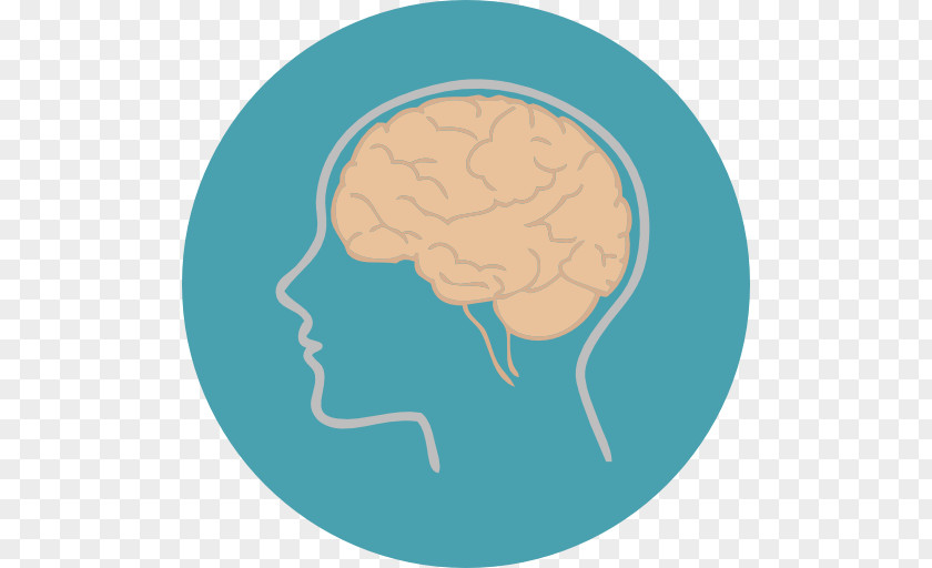 Brain Human Brainwave Entrainment PNG