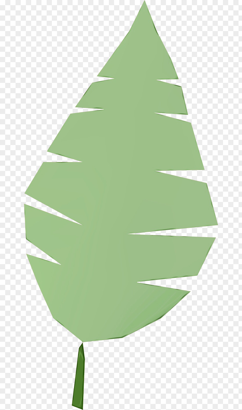 Colorado Spruce Interior Design Christmas Tree Branch PNG