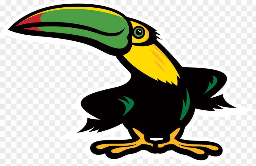 Hornbill Piciformes Bird PNG