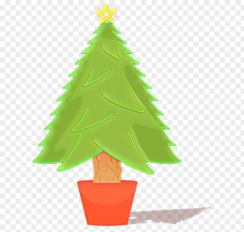Houseplant Colorado Spruce Christmas Tree PNG