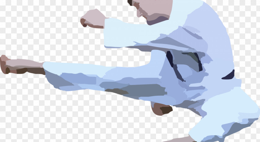Karate Japanese Martial Arts Aikido Kick PNG