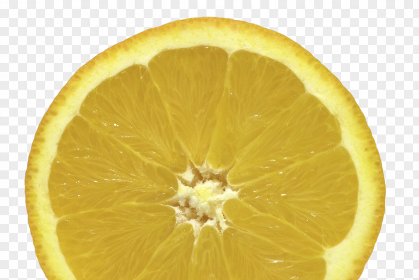 Lemon Rangpur Tangelo Grapefruit Bitter Orange PNG