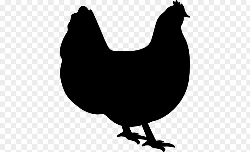 Orpington Chicken Cornish PNG