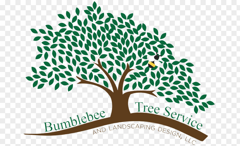 Tree Branch Bumblebee Service & Landscape Design LLC Arborist PNG