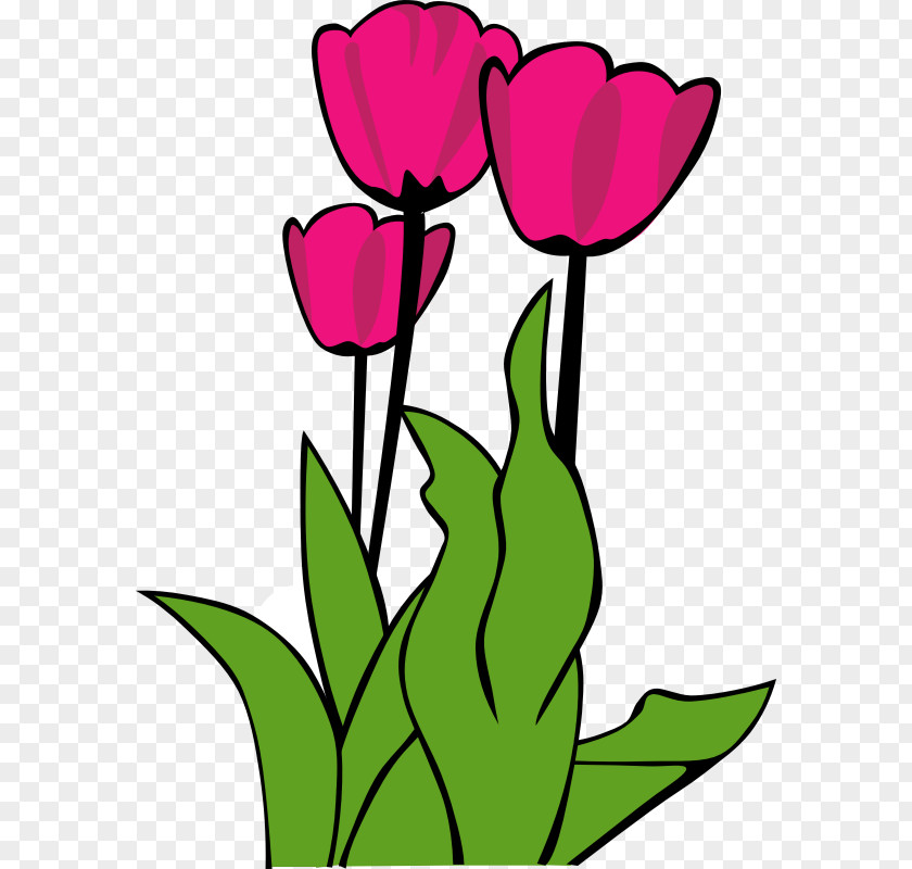 Tulips Image Free Content Tulipa Gesneriana Flower Clip Art PNG