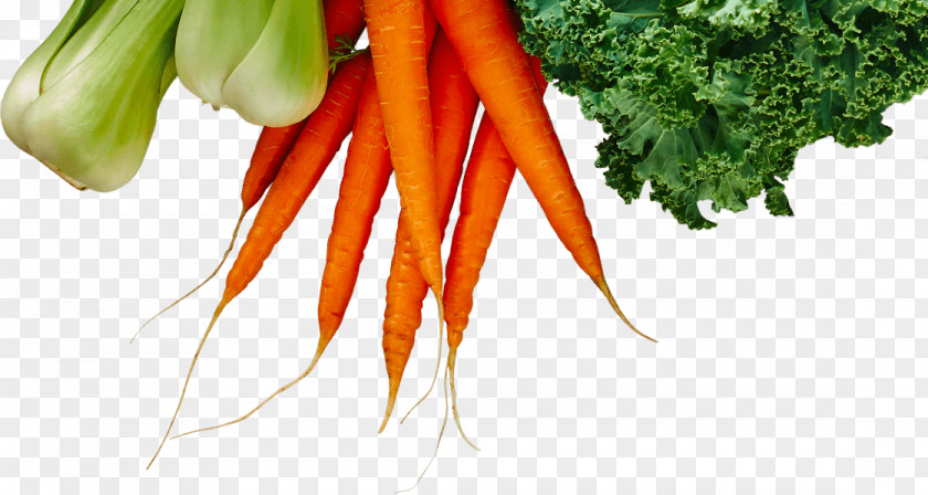 Vegetable Baby Carrot Fruit Logistica Farming Food PNG