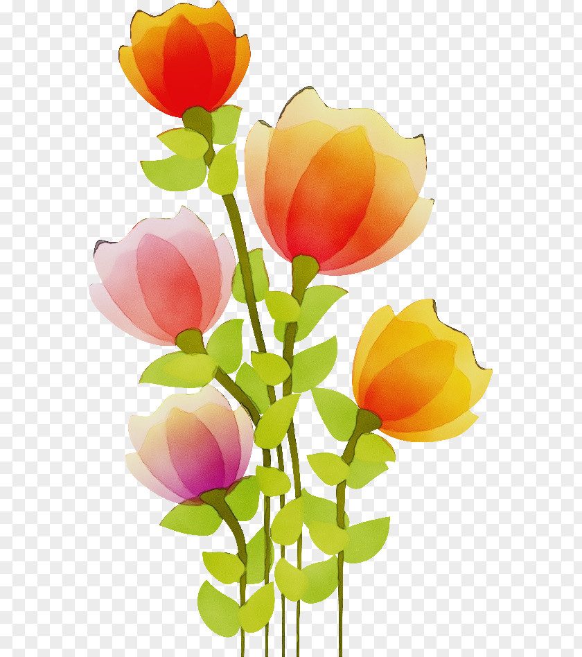 Wildflower Bud Flowers Background PNG