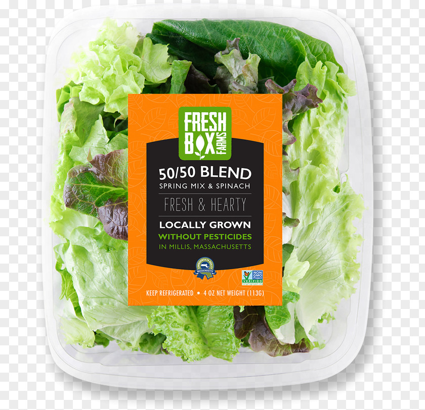 Lettuce FreshBox Farms Hydroponics PNG