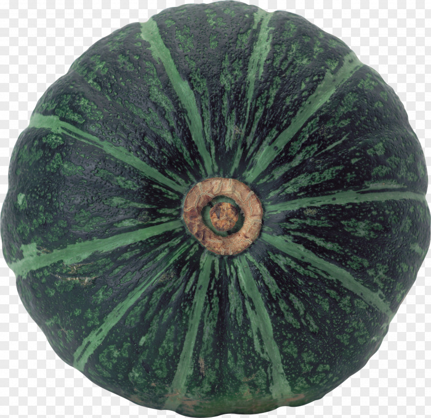 Pumpkin Image Pie Vegetable Squash PNG