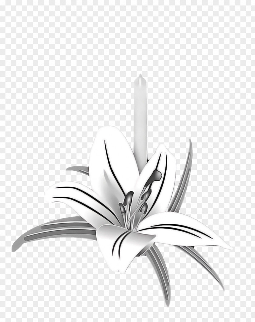 Black And White Flower PNG