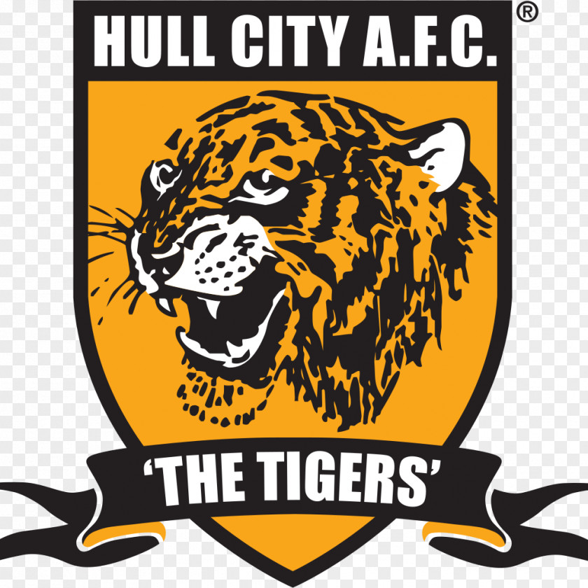 Football Hull City KCOM Stadium English League Kingston Rovers PNG