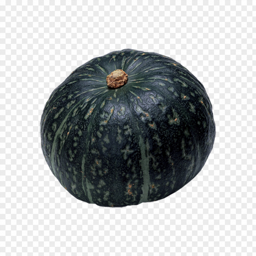 Pumpkin Crookneck Cucurbita Maxima Field Japanese Cuisine PNG