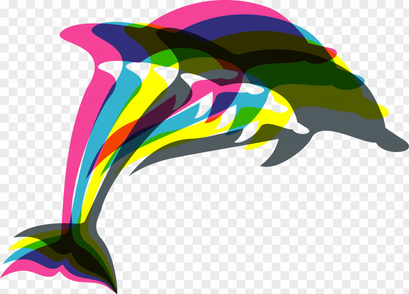 Vector Dolphins Euclidean Illustration PNG