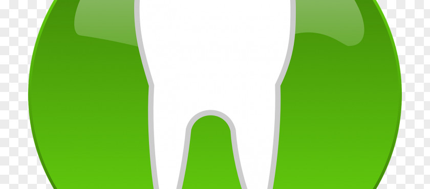 Dental Health Restoration Chart Dentistry Wisdom Tooth Temporomandibular Joint Extraction PNG