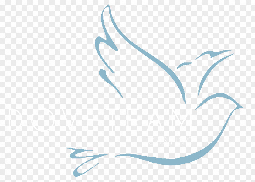 Dove Simple Pigeons And Doves Drawing Image Vector Graphics Sketch PNG