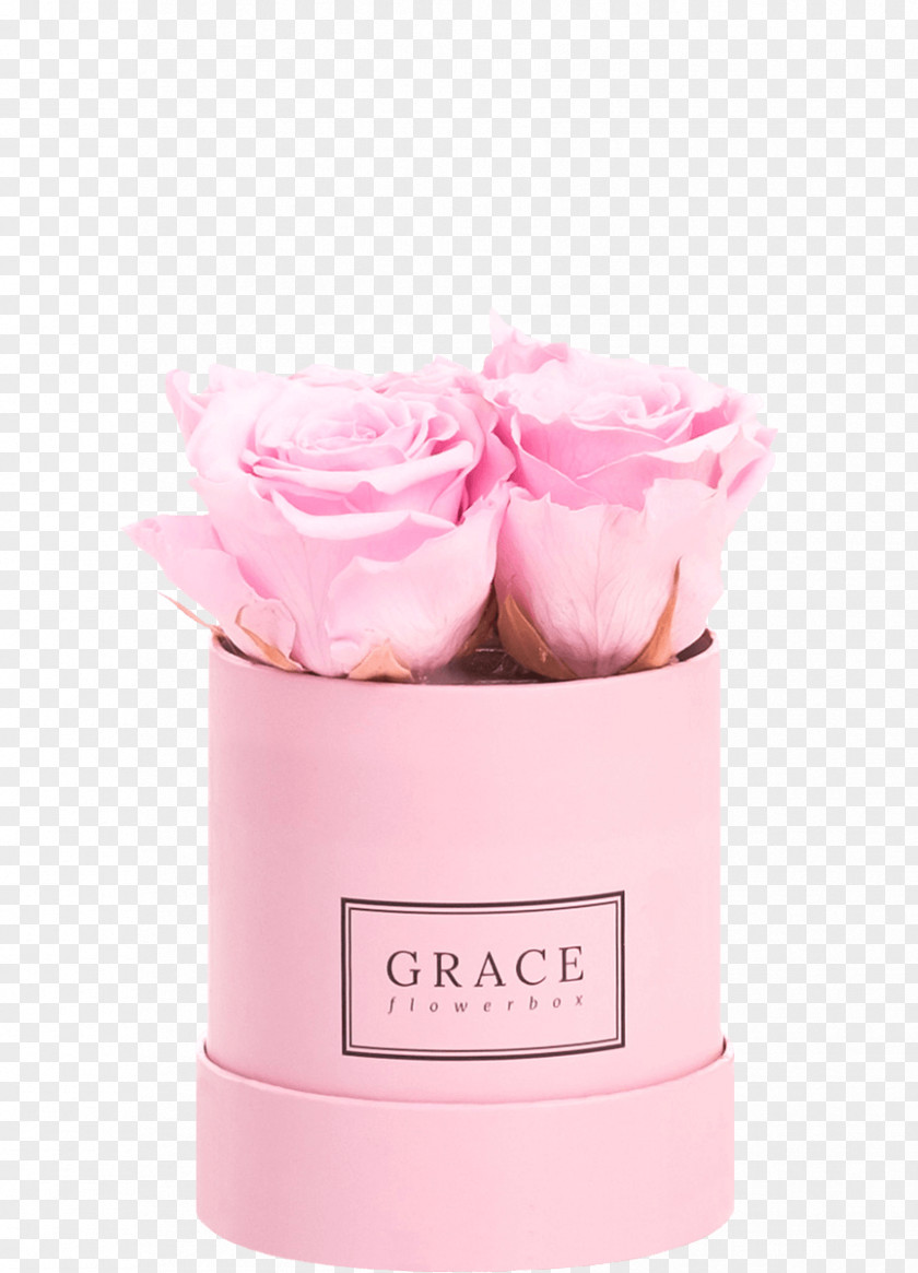 Flower Box Pink Hue PNG