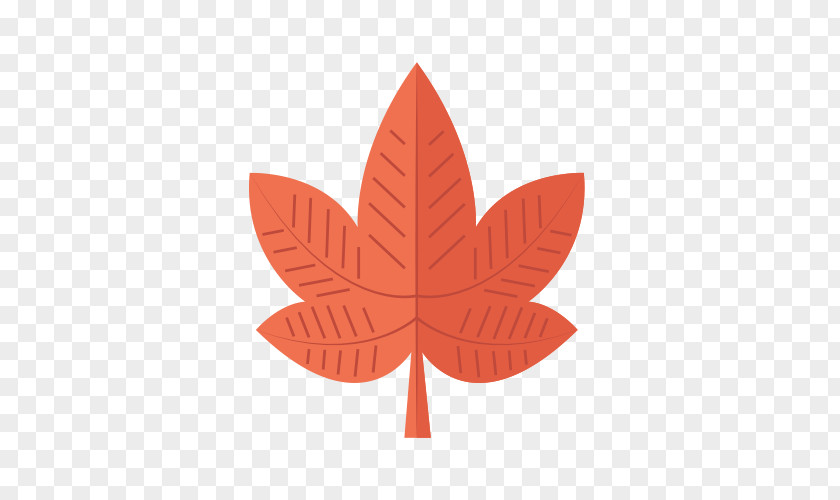Leaf Material Maple Autumn PNG
