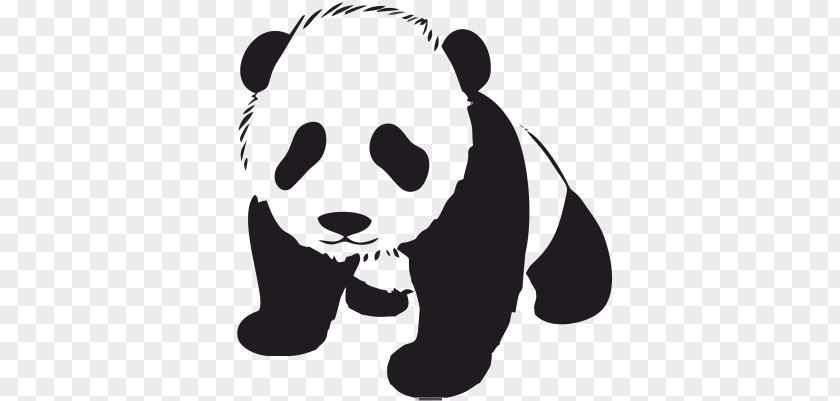Bear Giant Panda Sticker Decal Child PNG