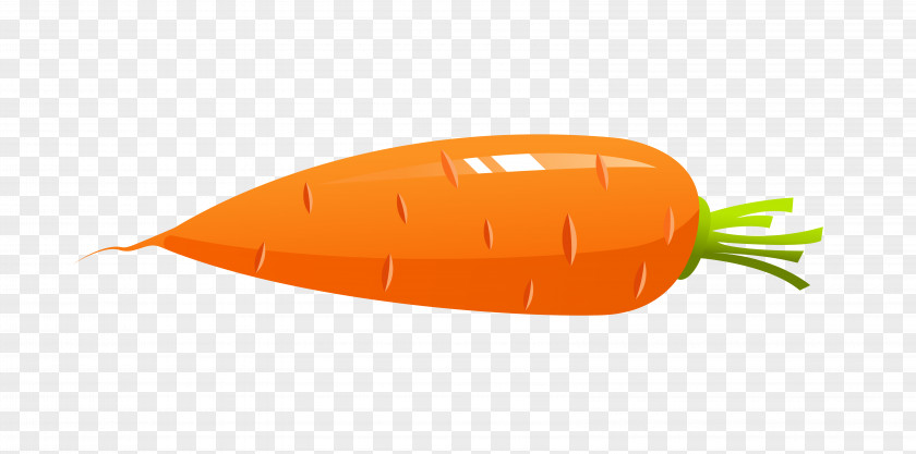 Carrot Orange PNG