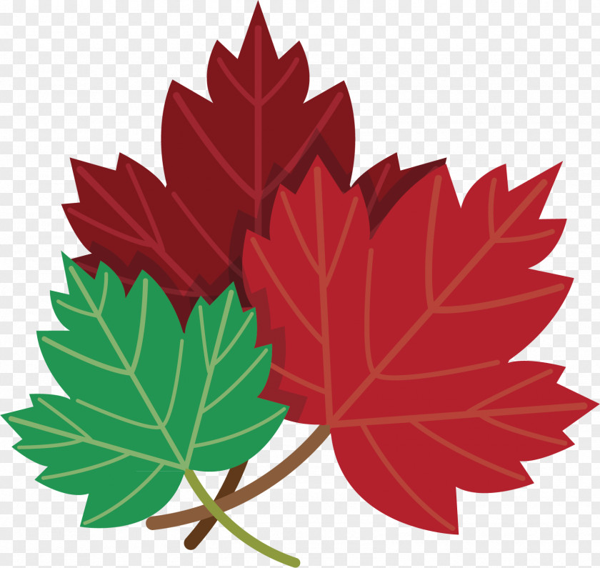 Maple Leaf Logo Toronto Leafs Clip Art Vector Graphics PNG