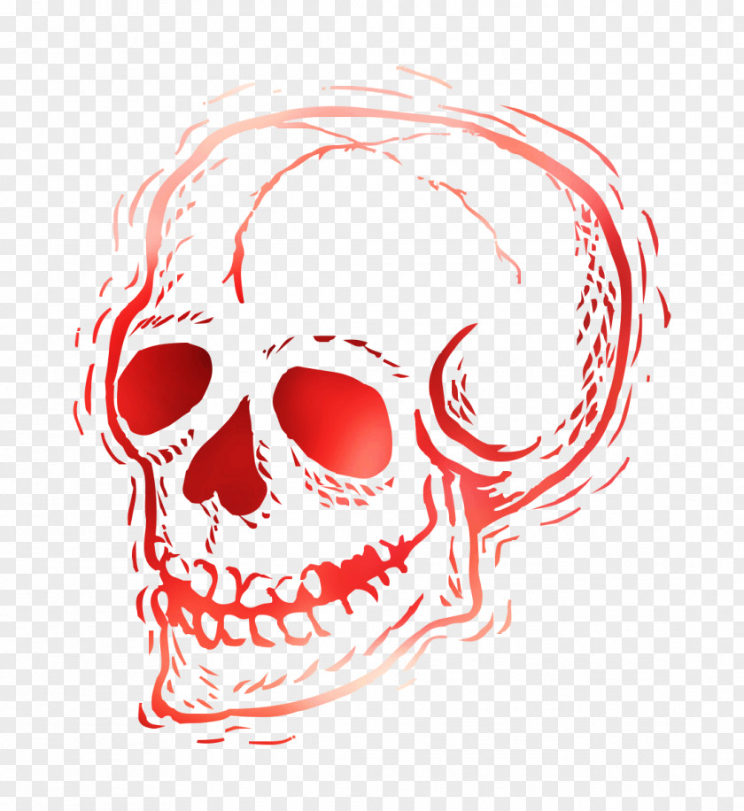 Nose Illustration Clip Art Skull Jaw PNG