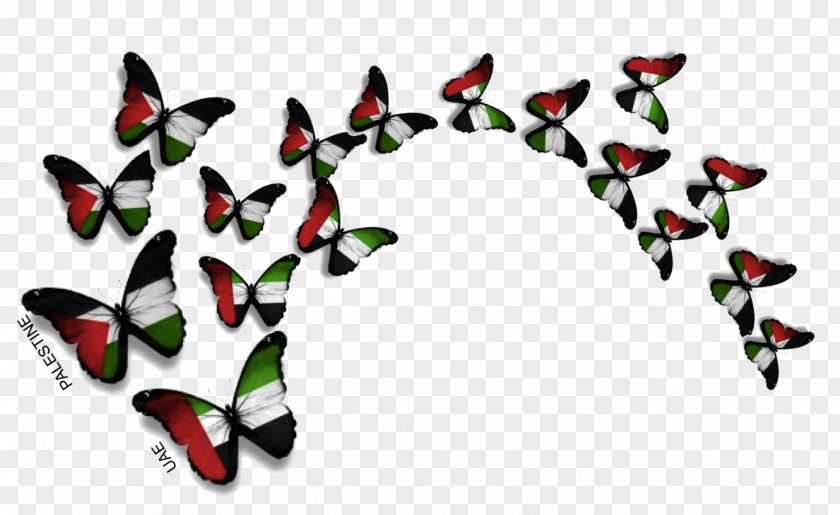 Uae Dubai Baghdad Butterfly Palestine Intifada PNG