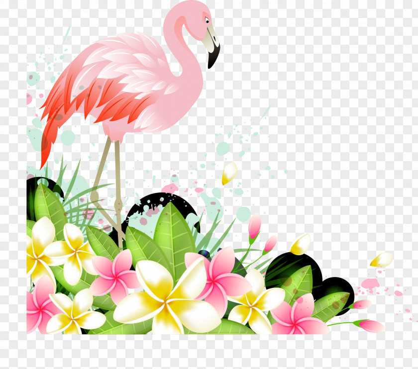 Vector Flamingos Flamingo PNG
