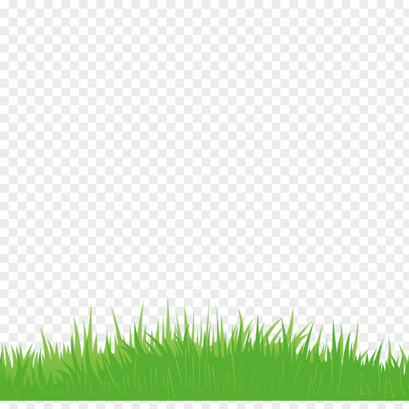 Vector Green Grass Decoration Euclidean Icon PNG