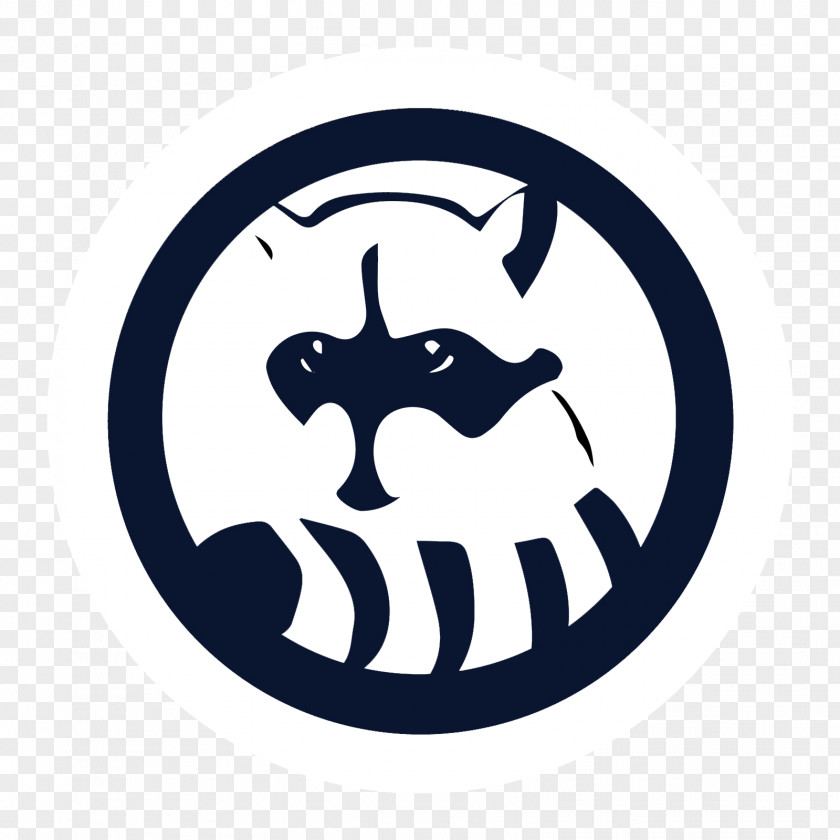 Animal Logo Raccoon Wildlife Giant Panda PNG