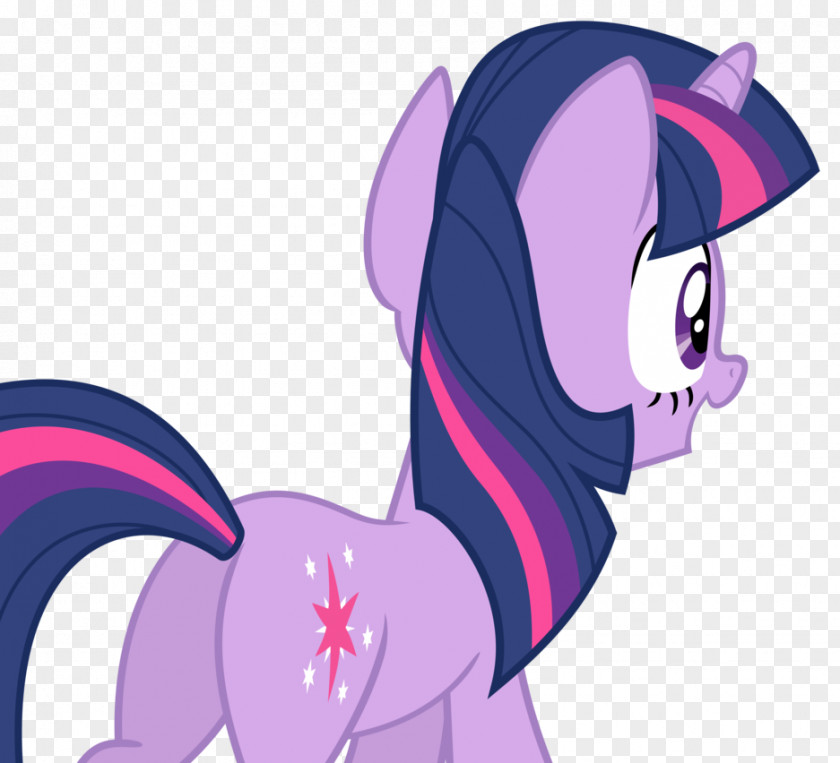 Behind Vector Pony Twilight Sparkle DeviantArt PNG