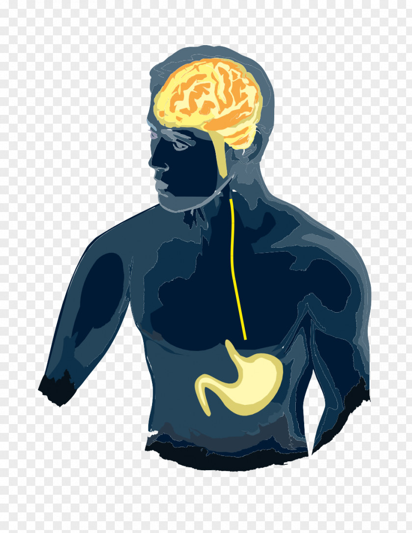 Gut Brain Axis Gut–brain Gastrointestinal Tract Intestine Irritable Bowel Syndrome PNG