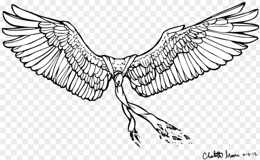 Heart Wing Castiel Drawing Line Art PNG