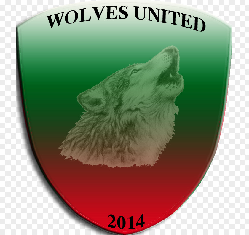 Kolarov Canidae Colori Sociali Super Santos Red Green PNG