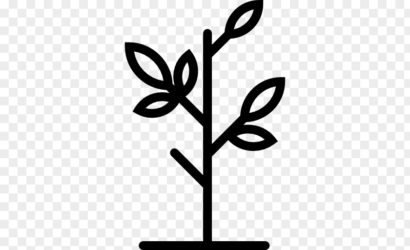 Black And White Monochrome Plant Stem PNG