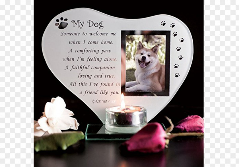 Cat Commemorative Plaque Pet Labrador Retriever Candle PNG