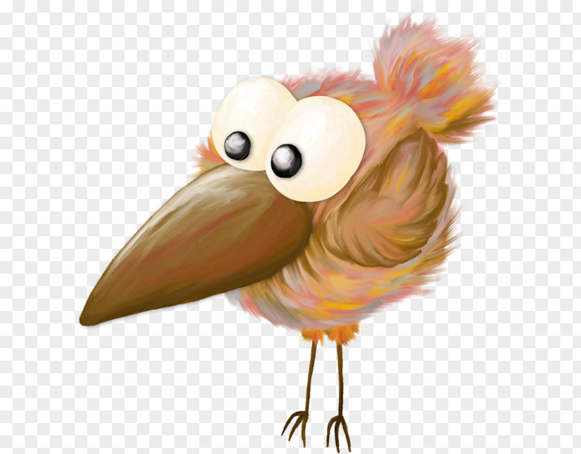 Chicken Cartoon Bird PNG