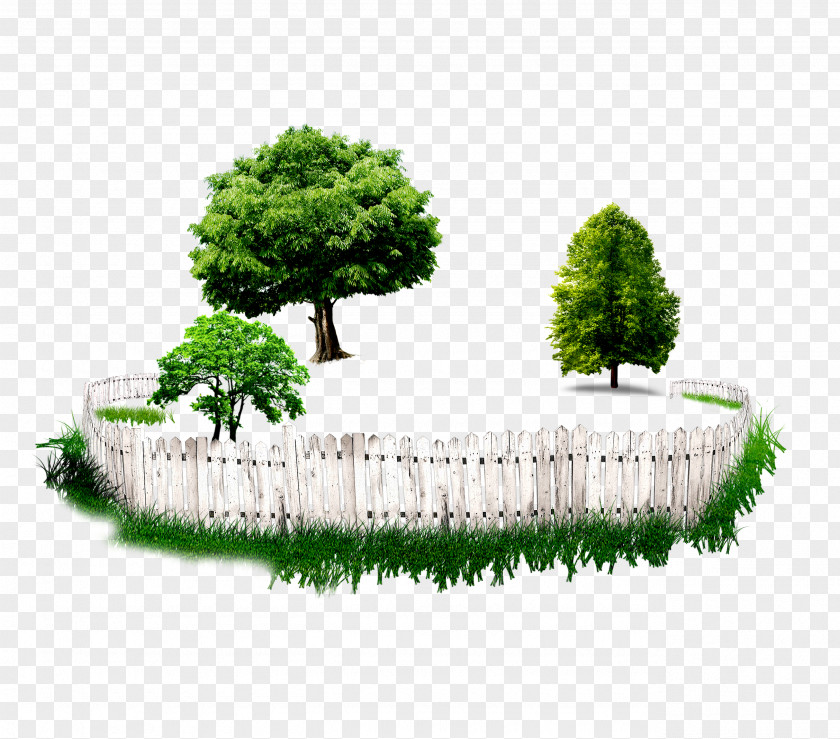 Fence Tree Garden Flowerpot PNG