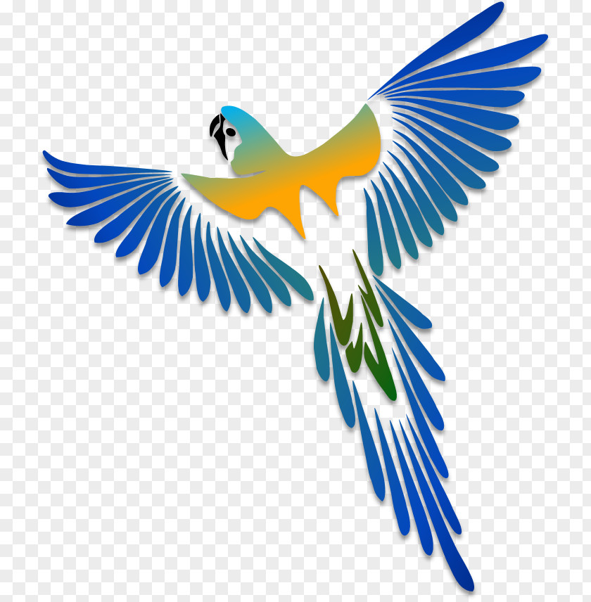 Parrot Illustration Bird Stencil Drawing PNG