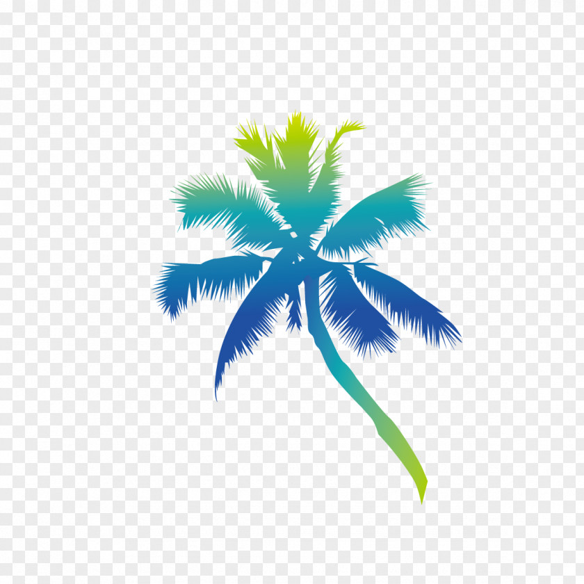 Coconut Tree Nevis Euclidean Vector Festival Blues PNG