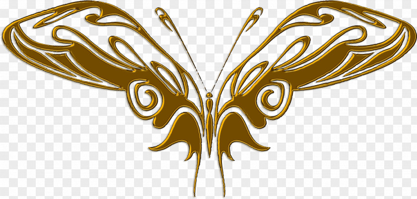 Fantastic Vector Butterfly Clip Art PNG