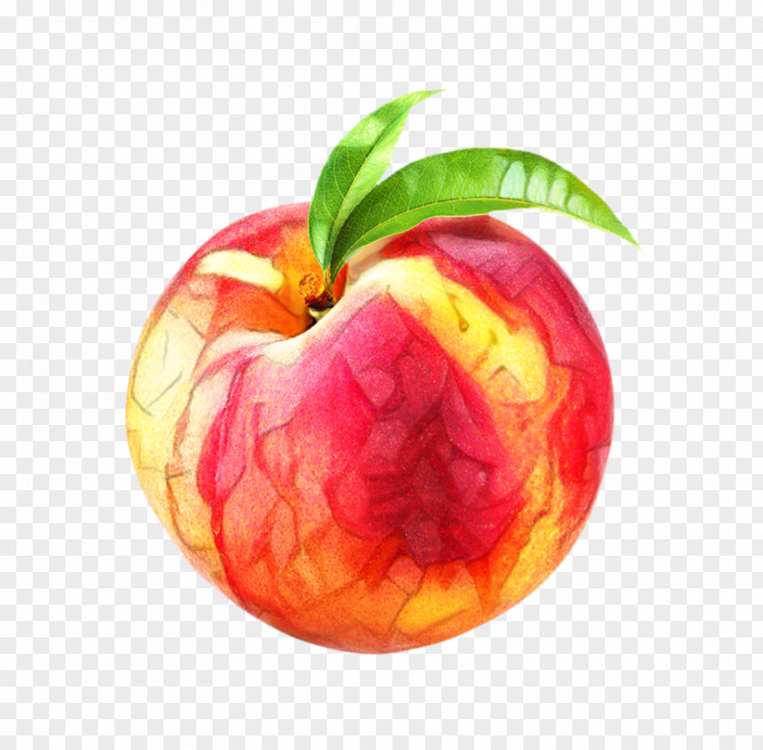 Seedless Fruit Flower Peach PNG