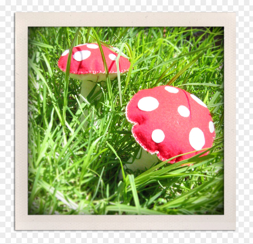 Toadstools Lawn PNG