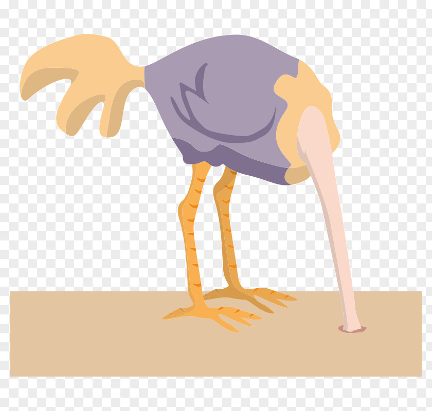 Bird Common Ostrich Sand PNG